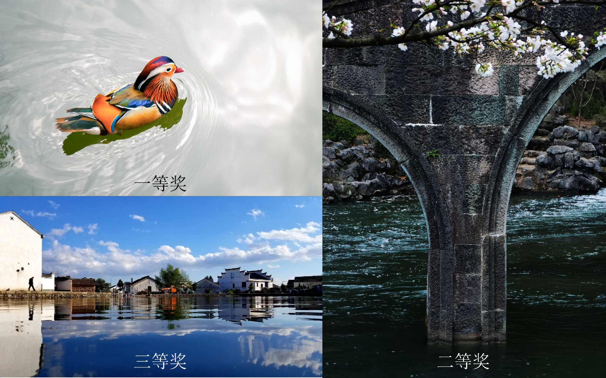 JDB电子·(中国区)试玩平台-JDB电子游戏官网